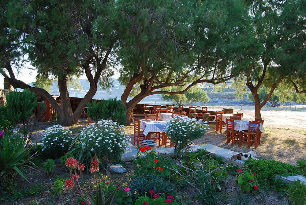 The restaurant grillhouse Giorgos-Dimitris in Fassolou beach of Faros