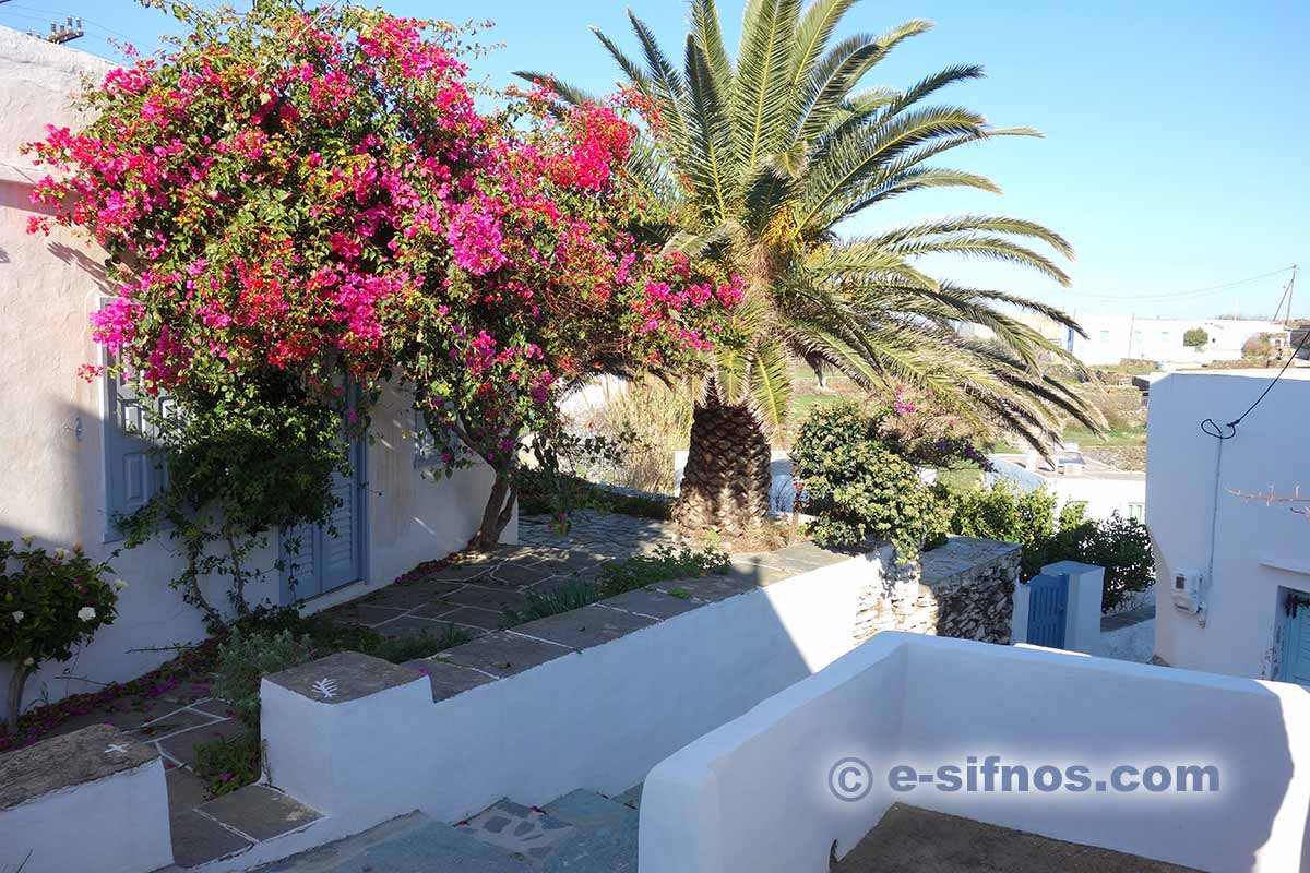 Ein Garten im Dorf Agios Loukas