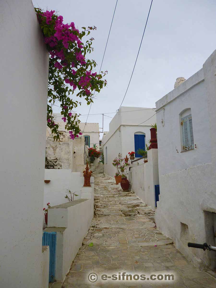 Gepflasterte Gasse in Artemonas