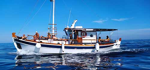 Bootsausflüge auf Sifnos