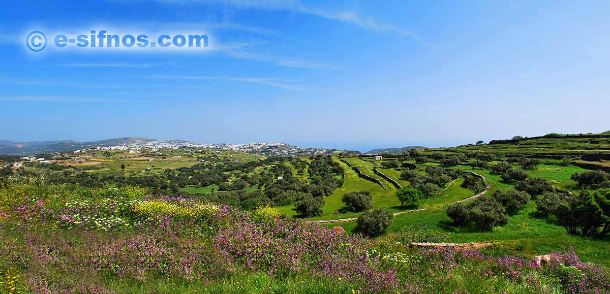 Landschaft mit Wildblumen und im Hintergrund die zentralen Dörfer