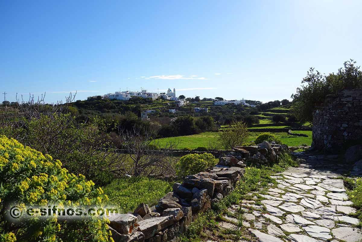 Der Weg von Apollonia nach Kato Petali im Frühling auf Sifnos