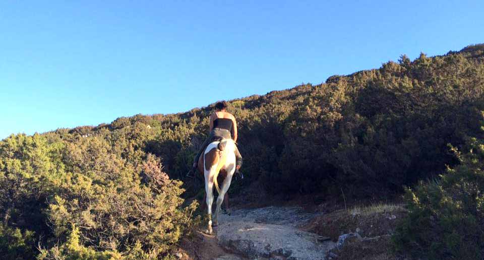 Reiten auf den Wegen von Sifnos