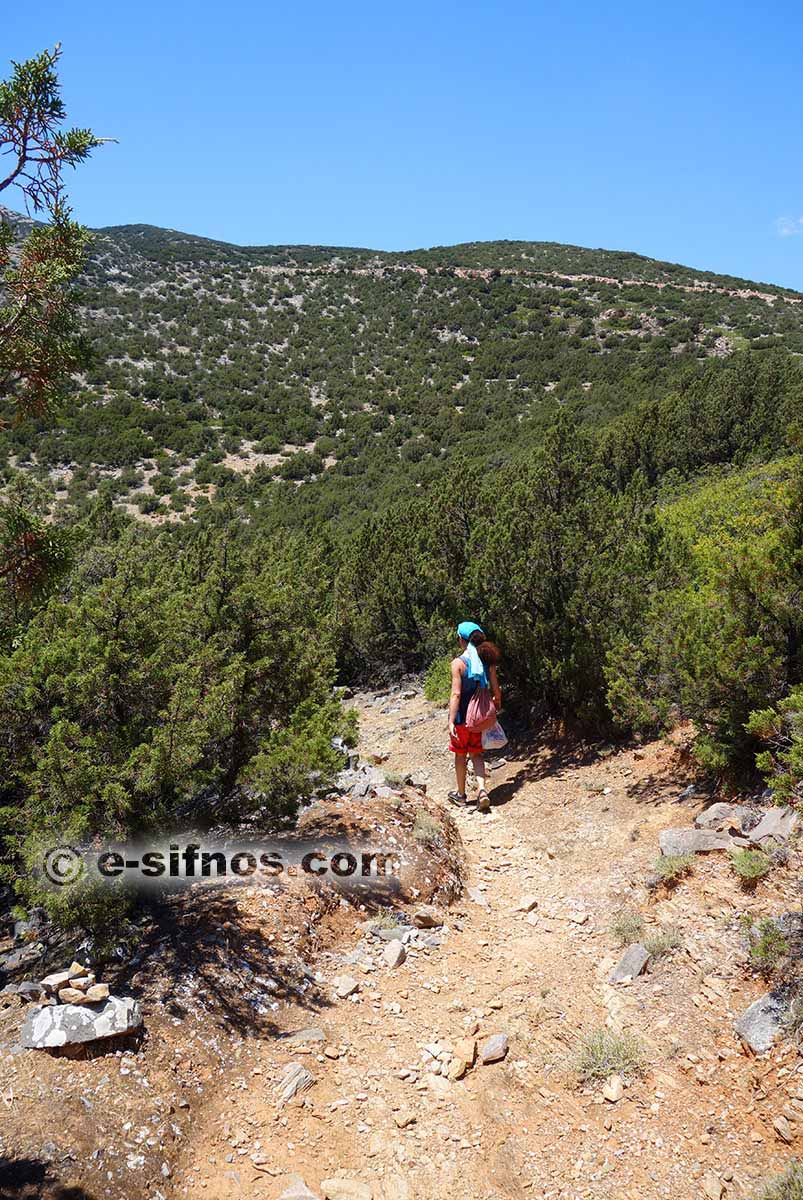 Der Weg von Platis Gialos zum Strand Fikiada